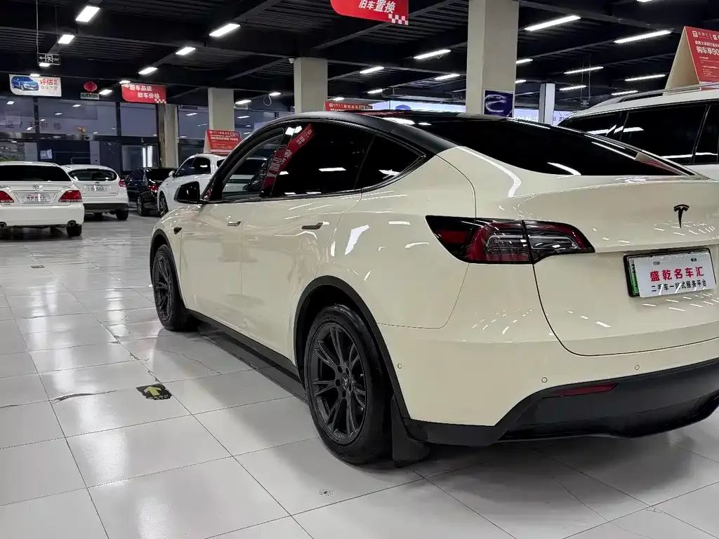Tesla Model Y 2024 из CN, фото 6