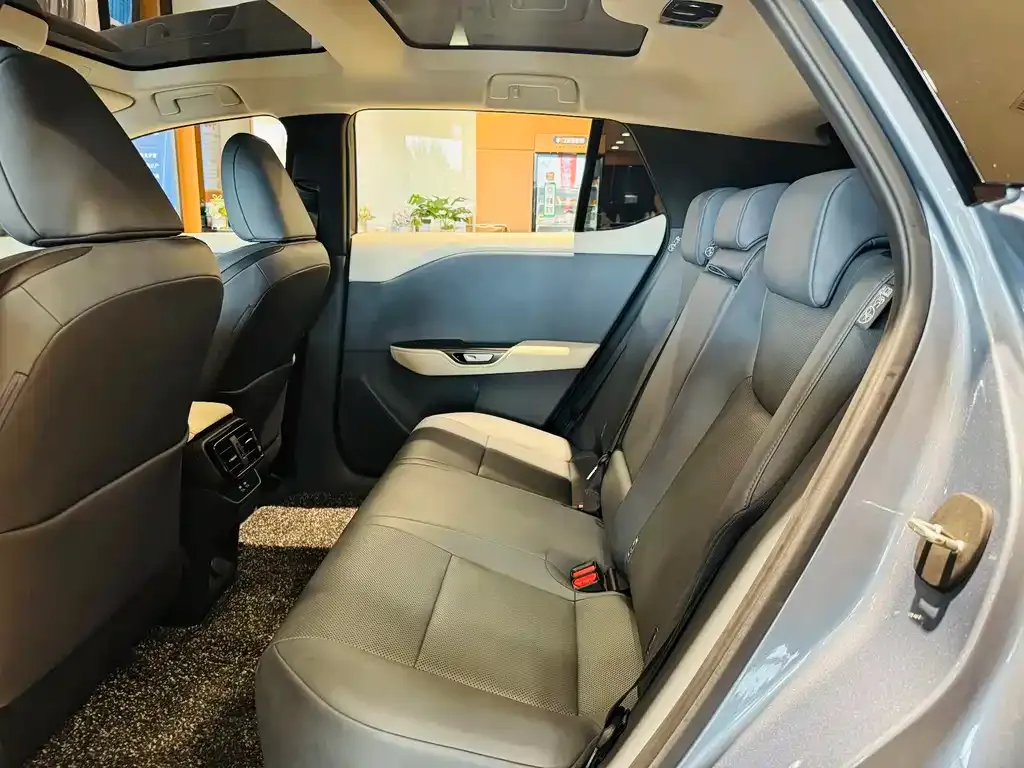 Lexus RZ 2023 из CN, фото 7