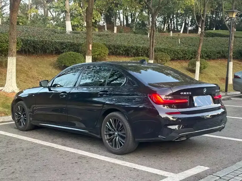 BMW 3 Series 2022 из CN, фото 7