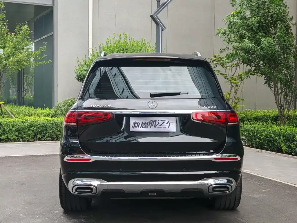 Mercedes-Benz GLS 2021 из CN, фото 5
