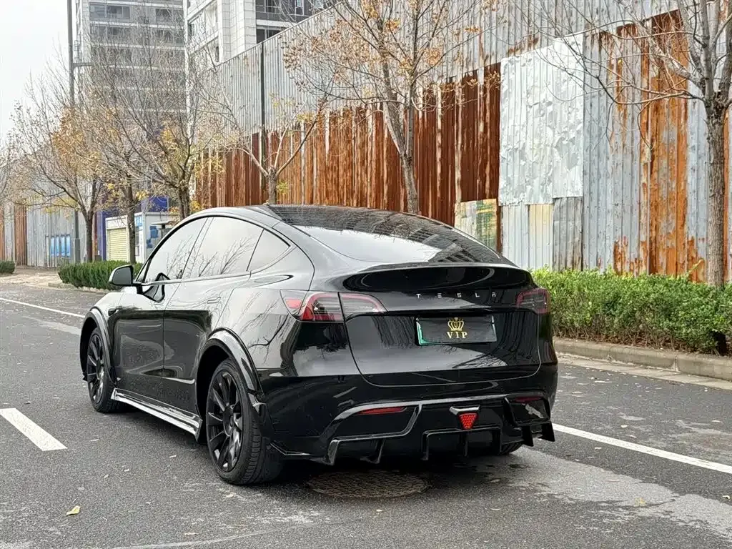 Tesla Model Y — фото 10