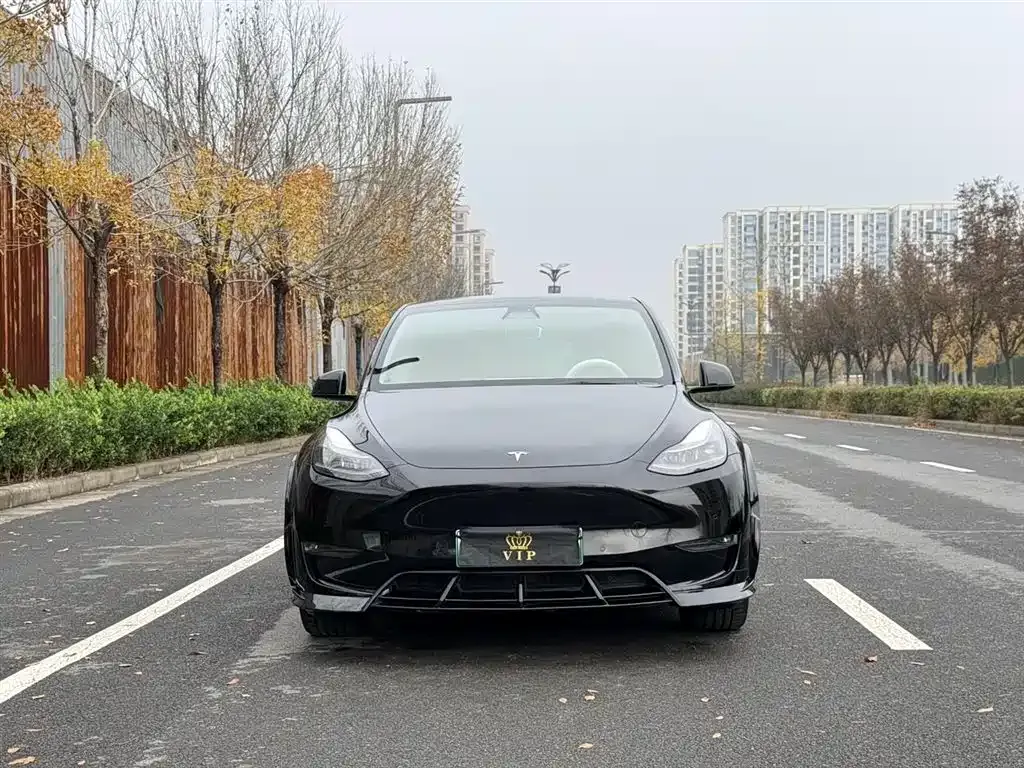 Tesla Model Y — фото 2