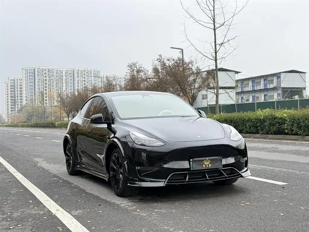 Tesla Model Y — фото 3