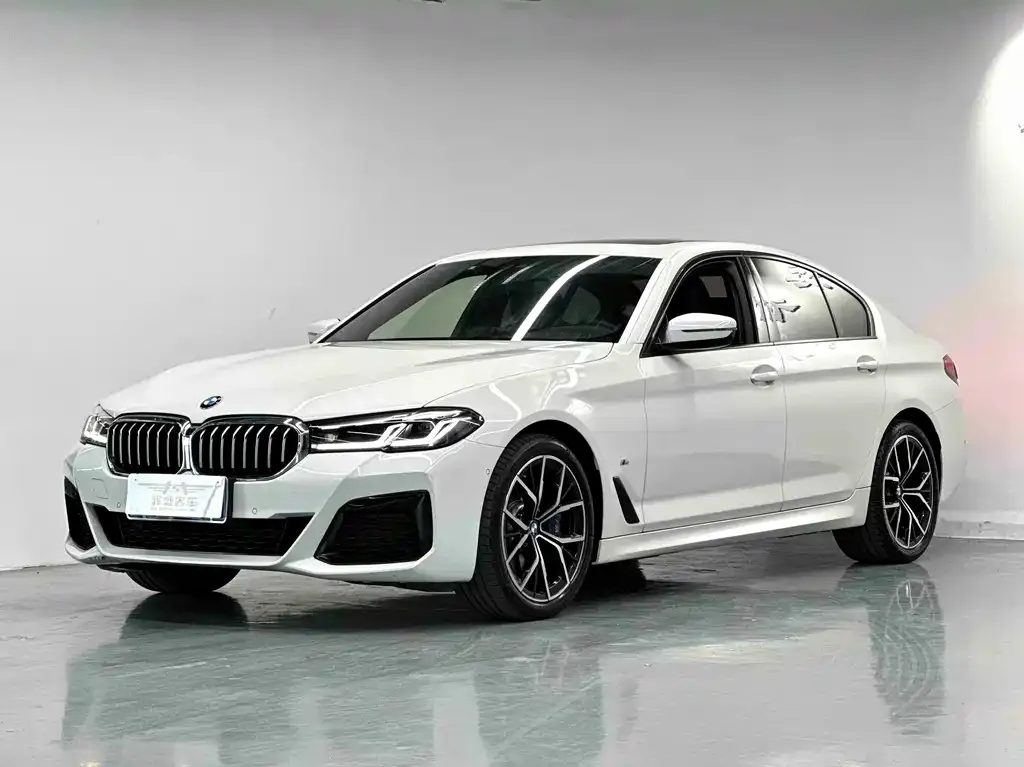 BMW 5 Series (Import) 2021 из CN, фото 1