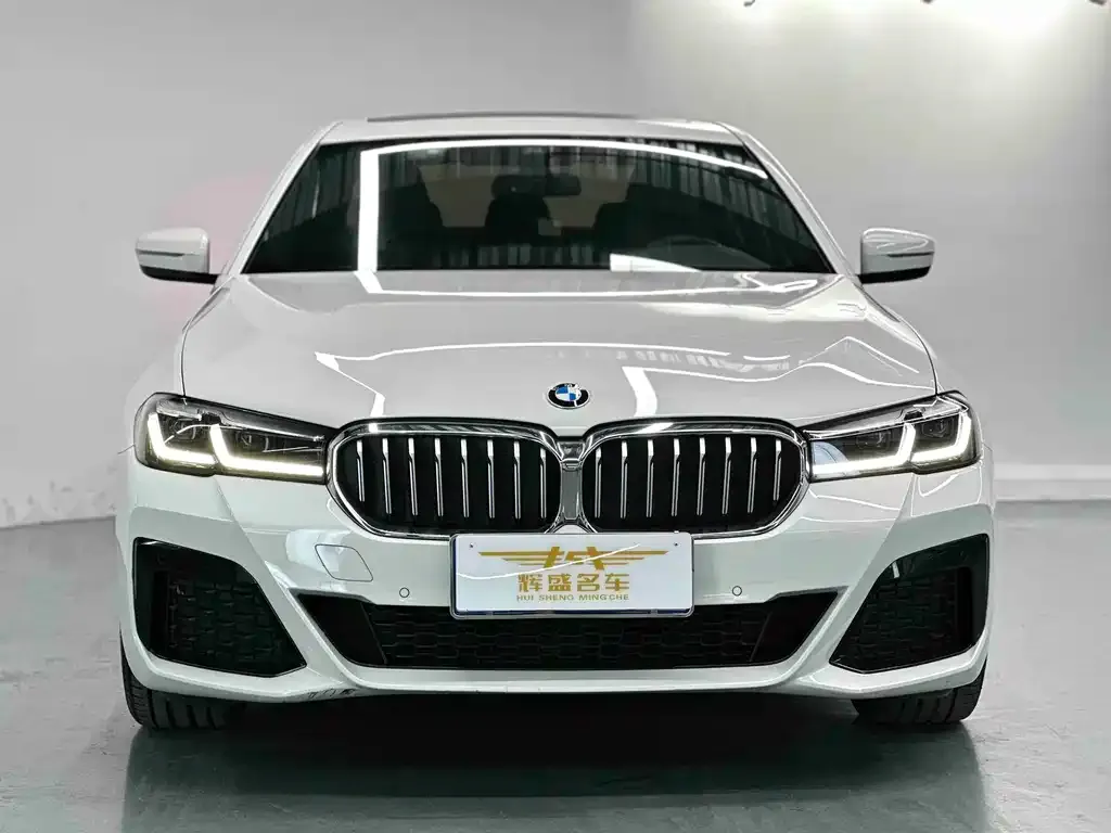BMW 5 Series (Import) 2021 из CN, фото 2