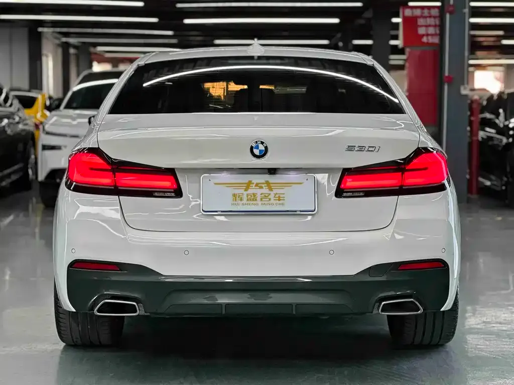 BMW 5 Series (Import) 2021 из CN, фото 3
