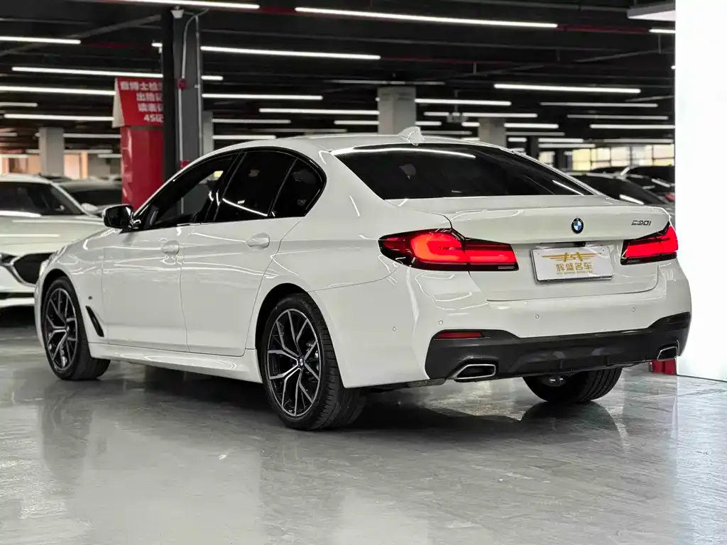 BMW 5 Series (Import) 2021 из CN, фото 4