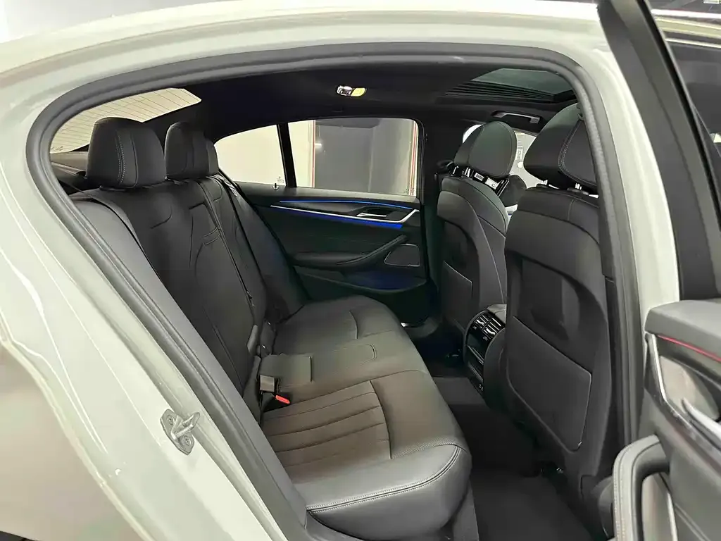 BMW 5 Series (Import) 2021 из CN, фото 8