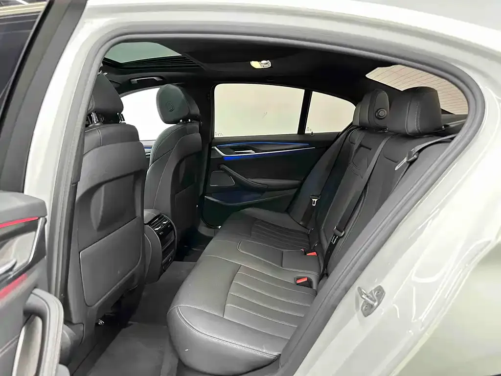BMW 5 Series (Import) 2021 из CN, фото 9