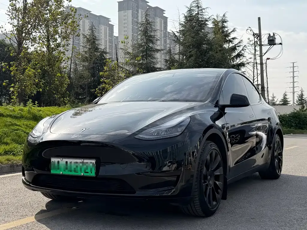 Tesla Model Y 2023 из CN, фото 1