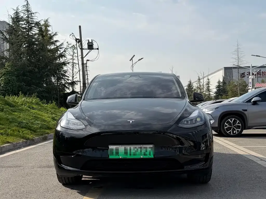 Tesla Model Y 2023 из CN, фото 2