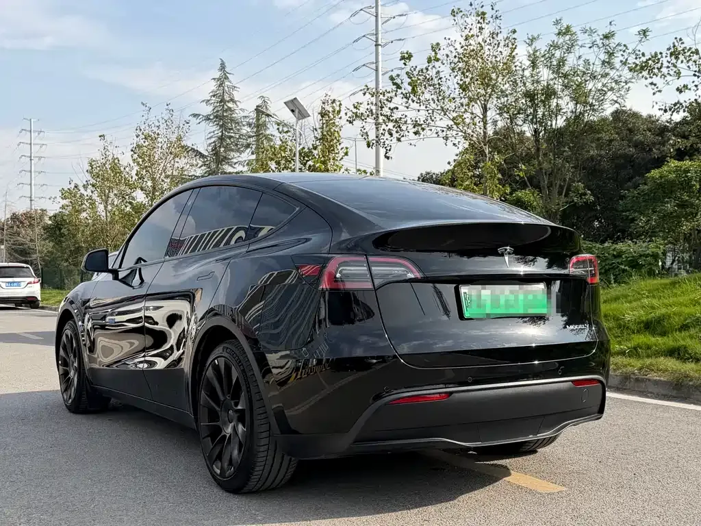 Tesla Model Y 2023 из CN, фото 6