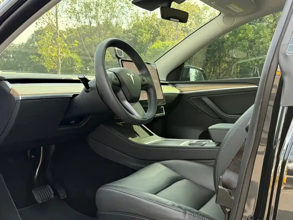 Tesla Model Y 2023 из CN, фото 8