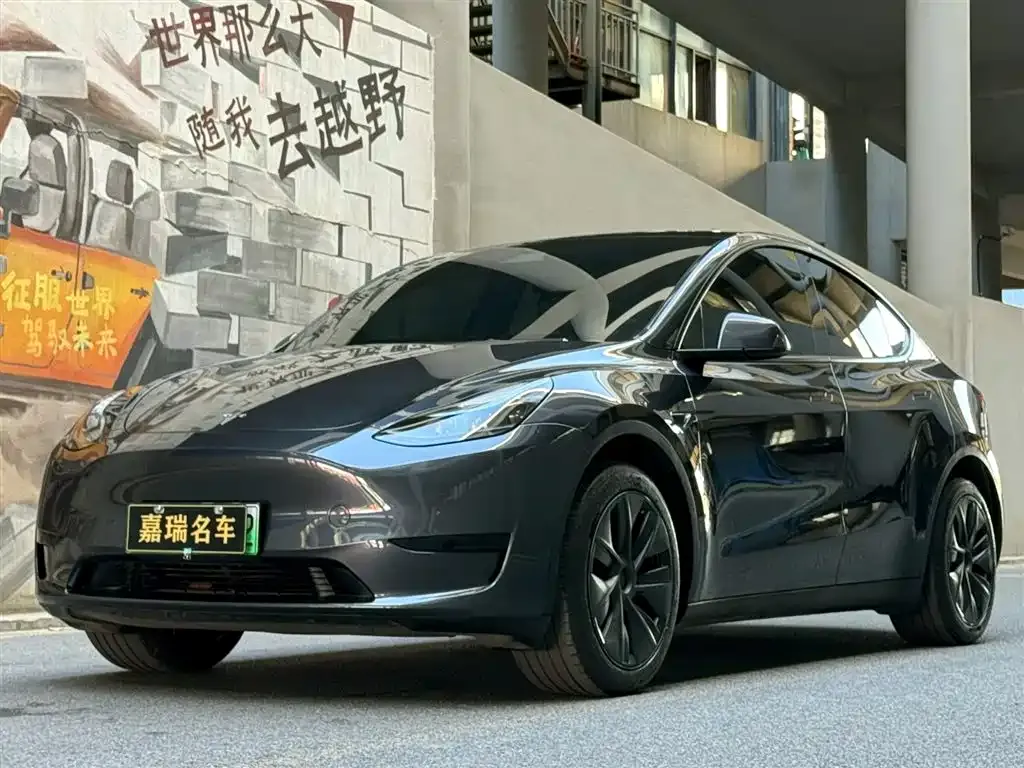 Tesla Model Y 2024 из CN, фото 1