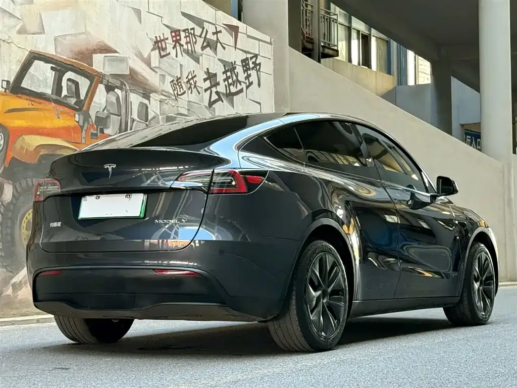 Tesla Model Y 2024 из CN, фото 5