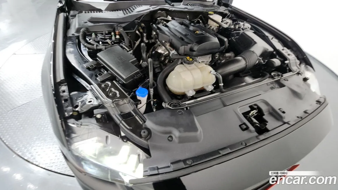 Ford Mustang 2022 из KR, фото 6