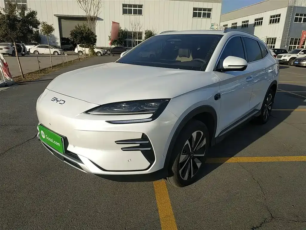 BYD PLUS New Energy 2025 из CN, фото 1