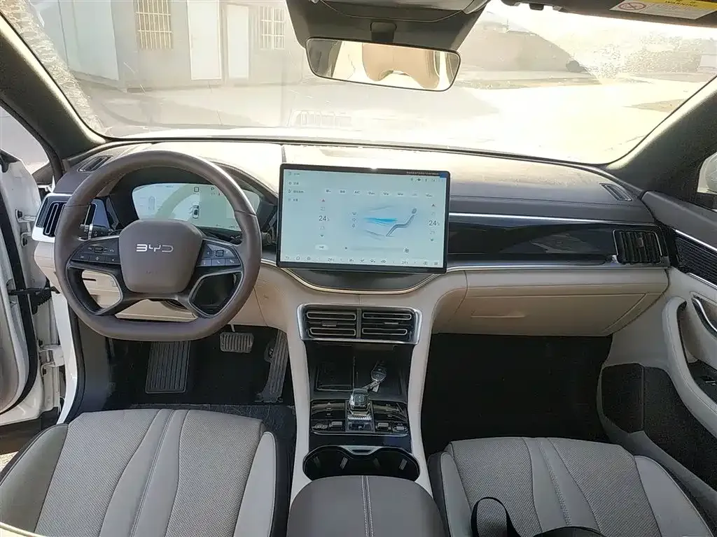 BYD PLUS New Energy 2025 из CN, фото 10