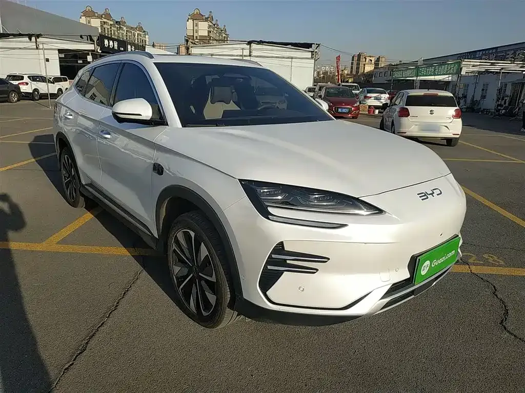 BYD PLUS New Energy 2025 из CN, фото 4