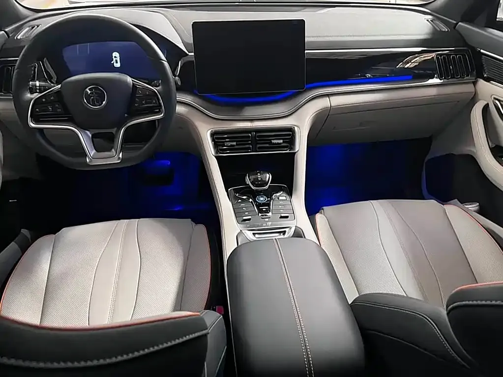 BYD PLUS New Energy — фото 10