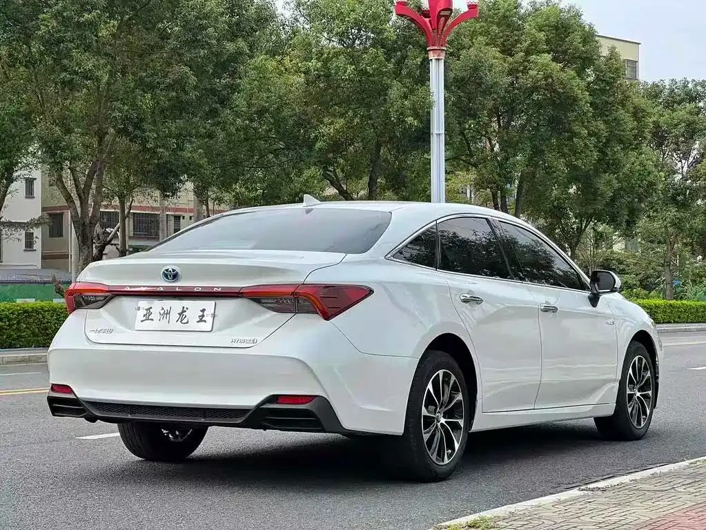 [object Object] Avalon 2024 из CN, фото 6