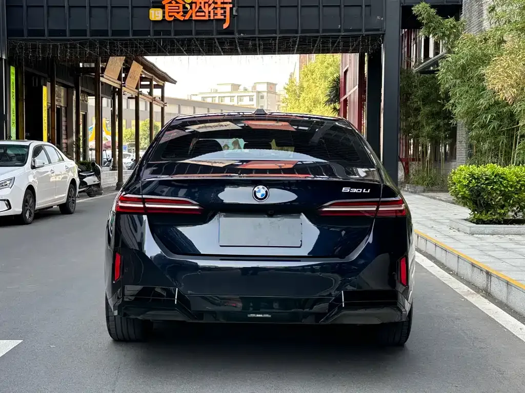 BMW 5 Series 2025 из CN, фото 9