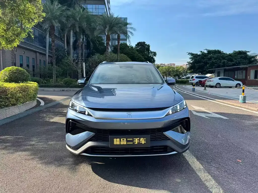 BYD Pro New Energy 2024 из CN, фото 2