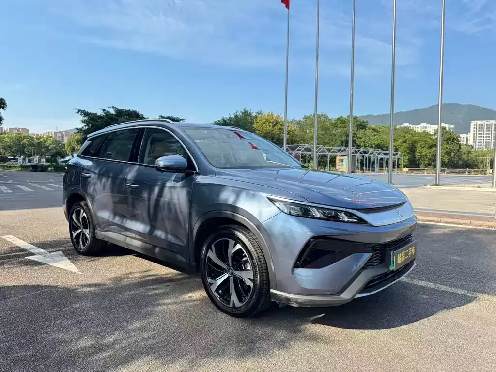 BYD Pro New Energy 2024 из CN, фото 3