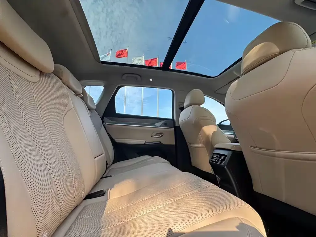 BYD Pro New Energy 2024 из CN, фото 5