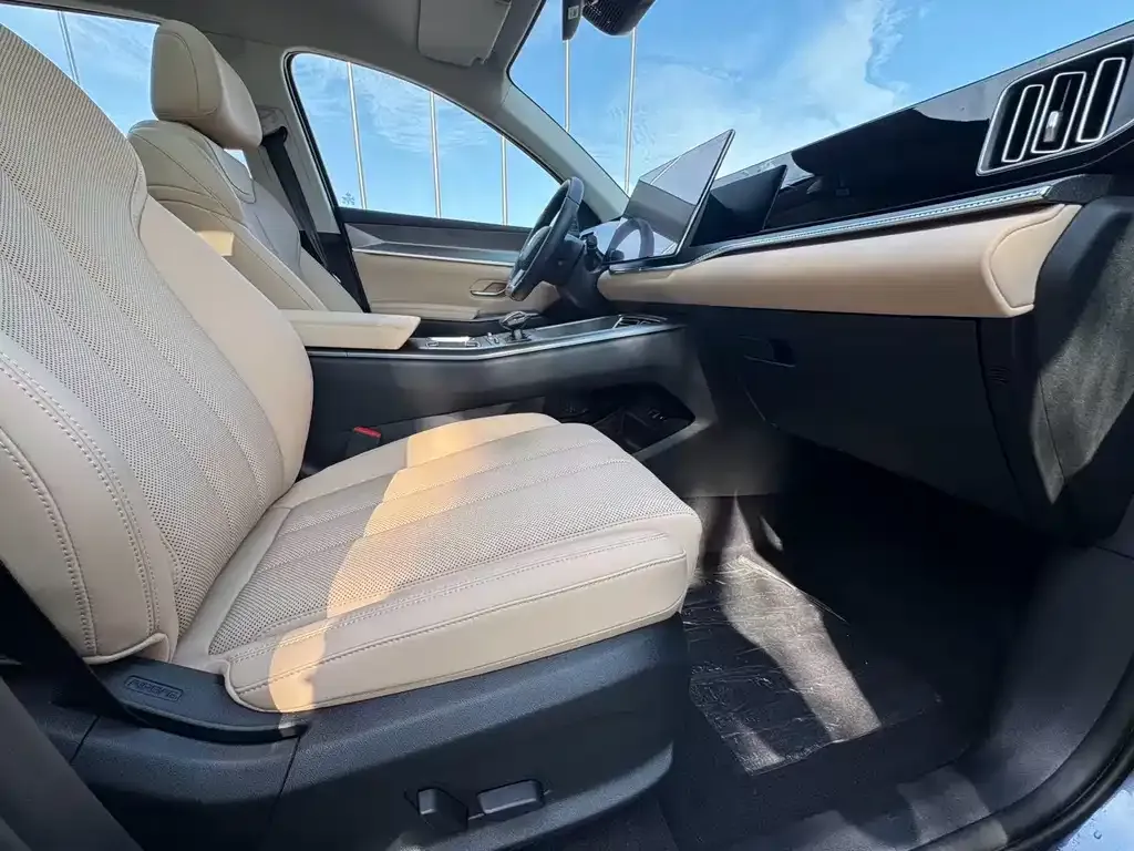 BYD Pro New Energy 2024 из CN, фото 7