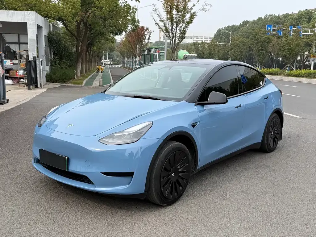 Tesla Model Y 2022 из CN, фото 1