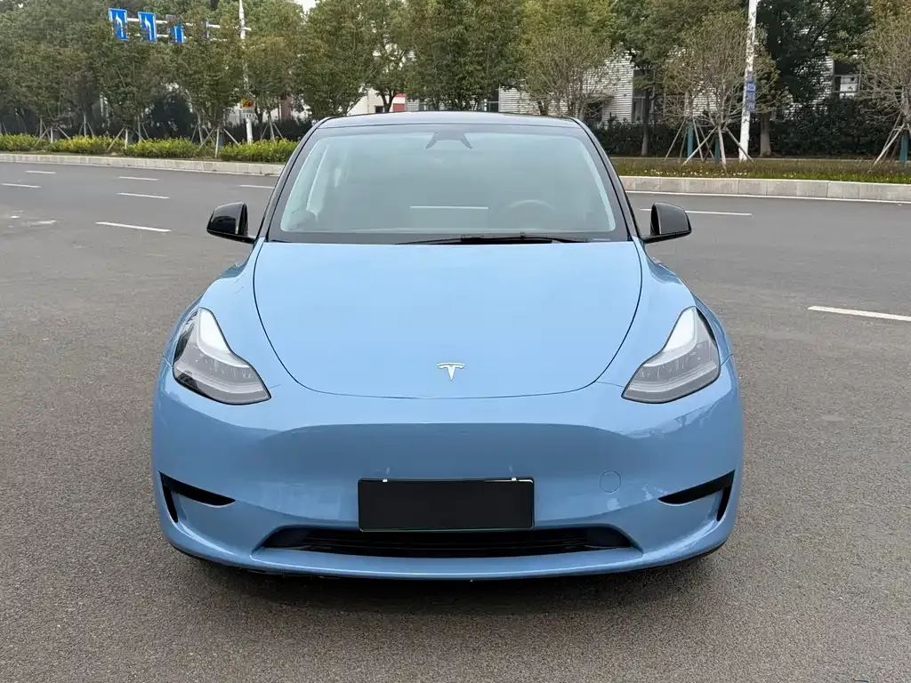 Tesla Model Y 2022 из CN, фото 2