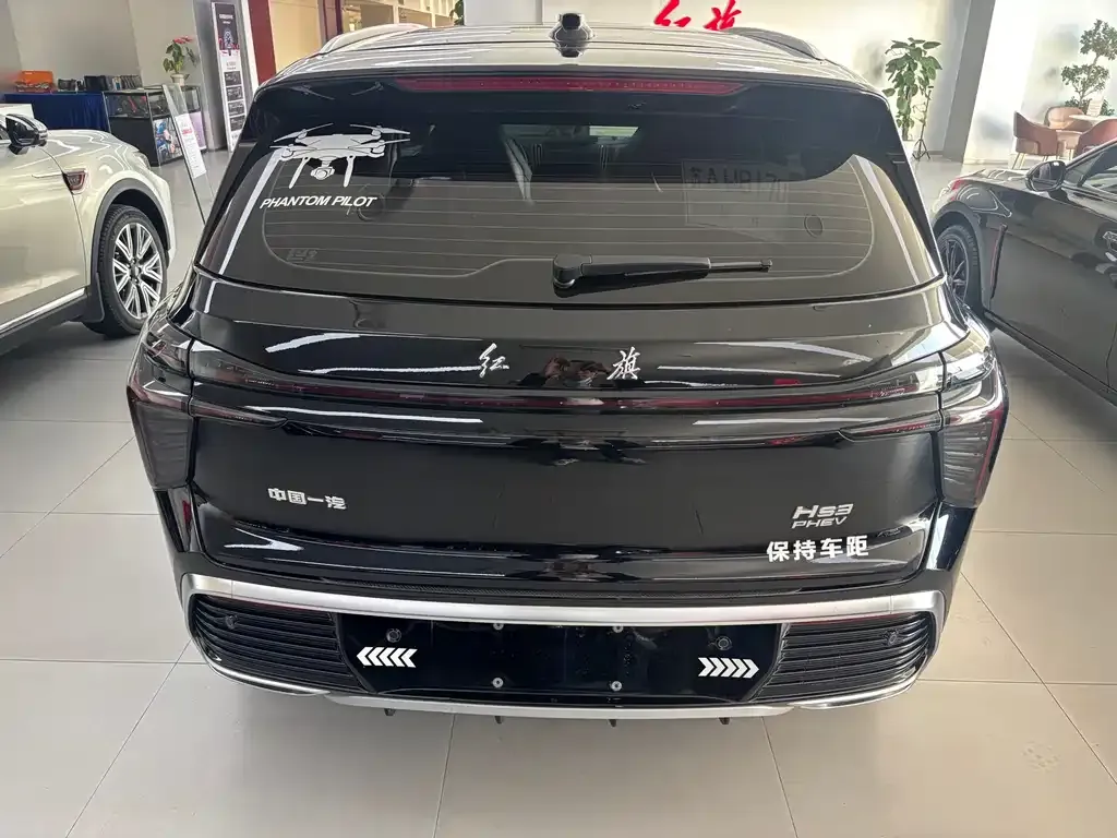 Hongqi HS3 PHEV 2024 из CN, фото 6