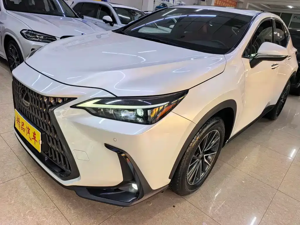 Lexus NX 2022 из CN, фото 1