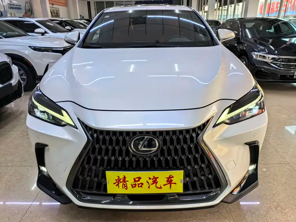 Lexus NX 2022 из CN, фото 2