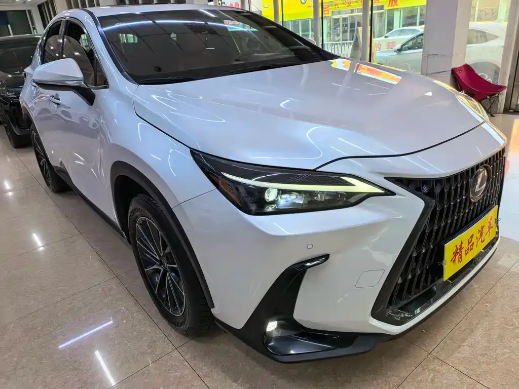 Lexus NX 2022 из CN, фото 3