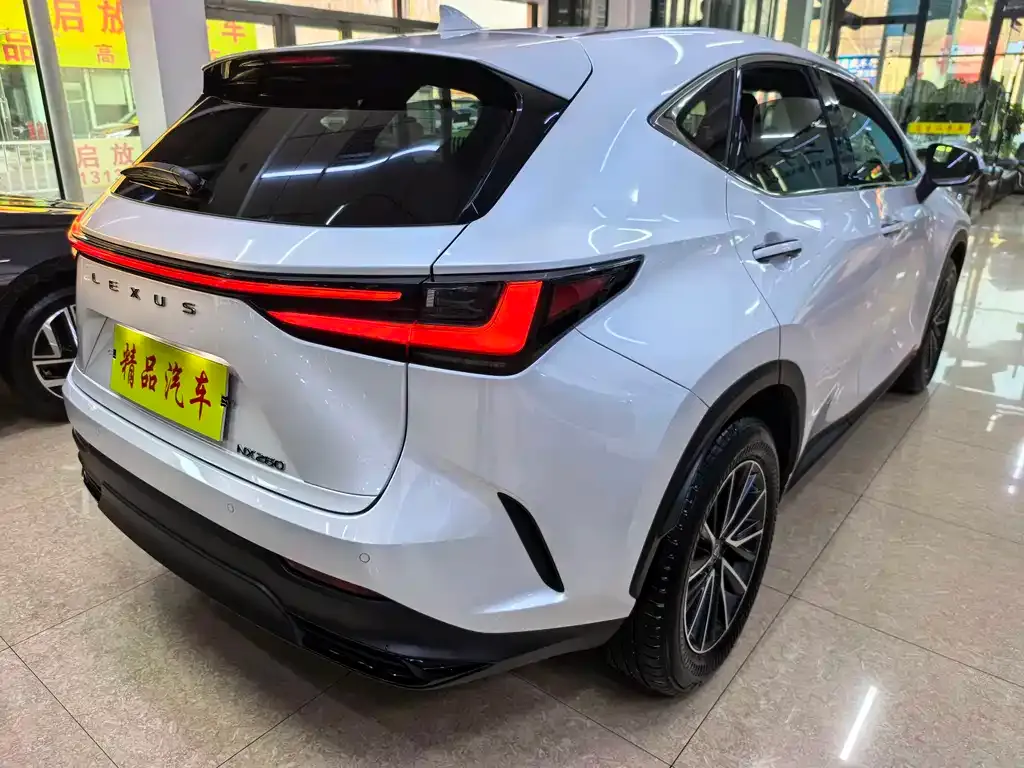 Lexus NX 2022 из CN, фото 4