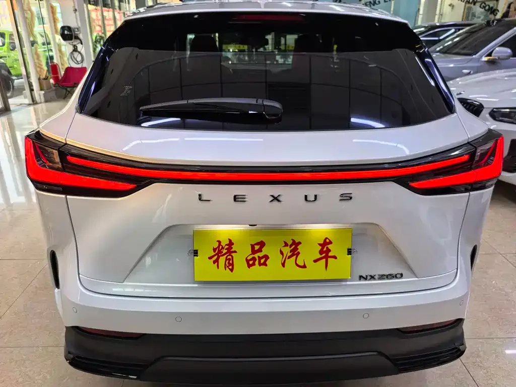 Lexus NX 2022 из CN, фото 5