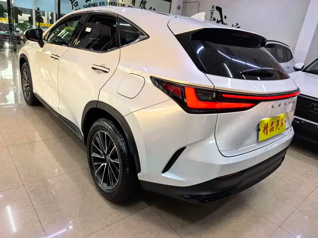 Lexus NX 2022 из CN, фото 6