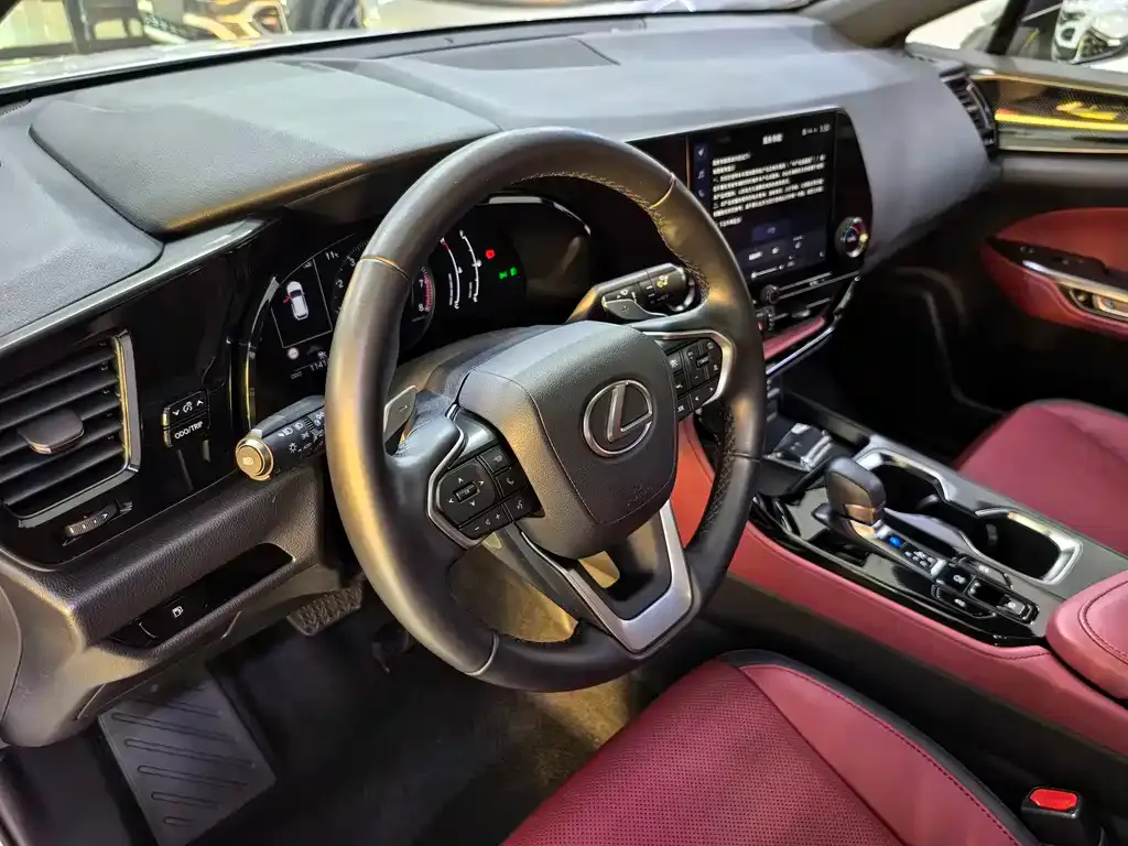Lexus NX 2022 из CN, фото 7