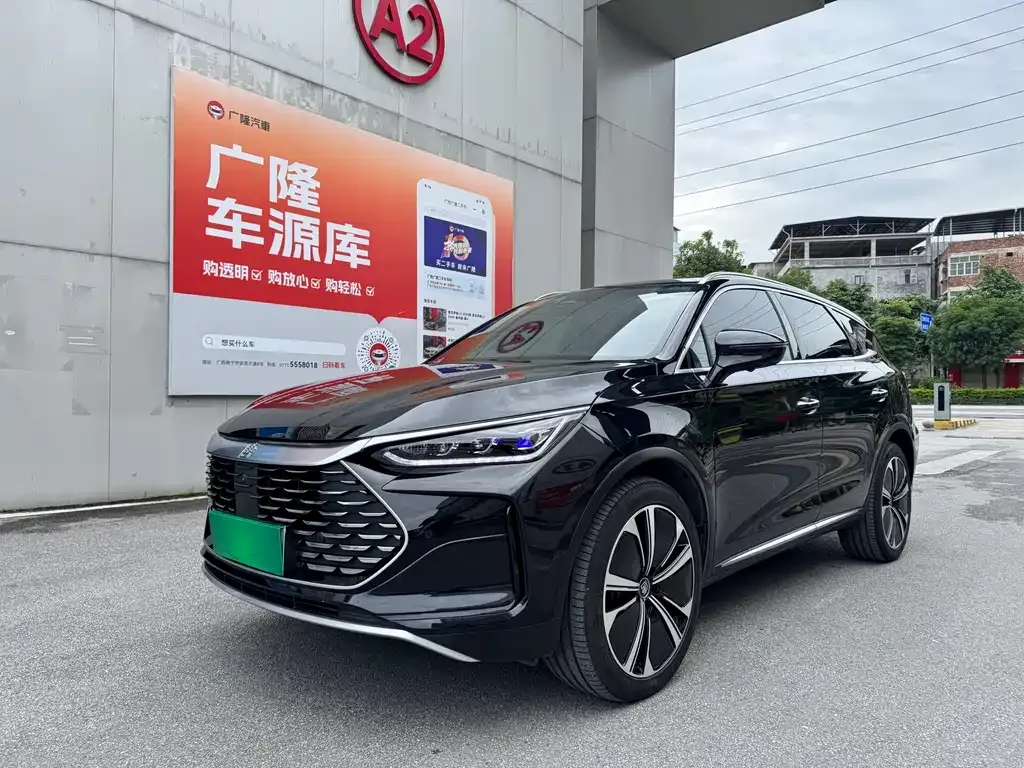 BYD Tang New Energy 2023 из CN, фото 1