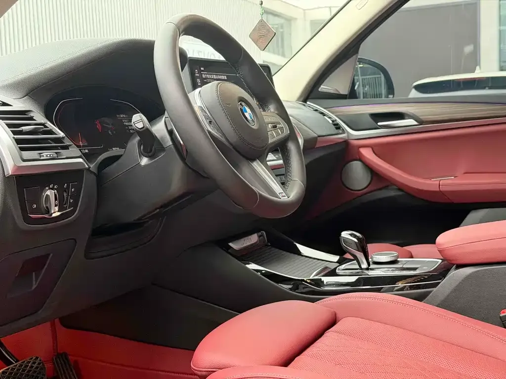BMW X3 2024 из CN, фото 6