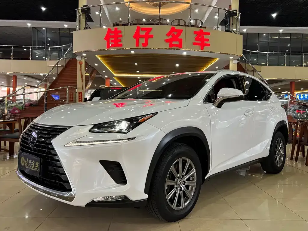 Lexus NX 2021 из CN, фото 1