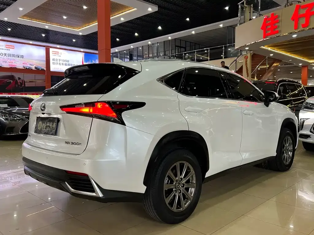 Lexus NX 2021 из CN, фото 5