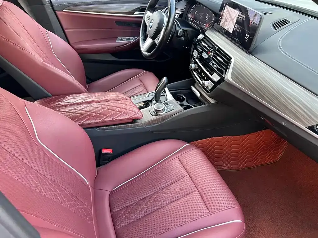 BMW 5 Series 2022 из CN, фото 10