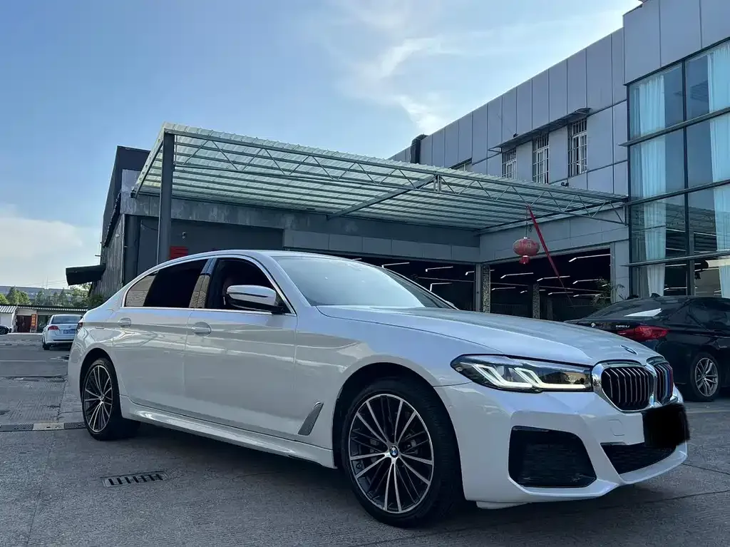 BMW 5 Series 2022 из CN, фото 3
