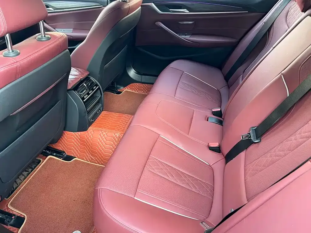 BMW 5 Series 2022 из CN, фото 8