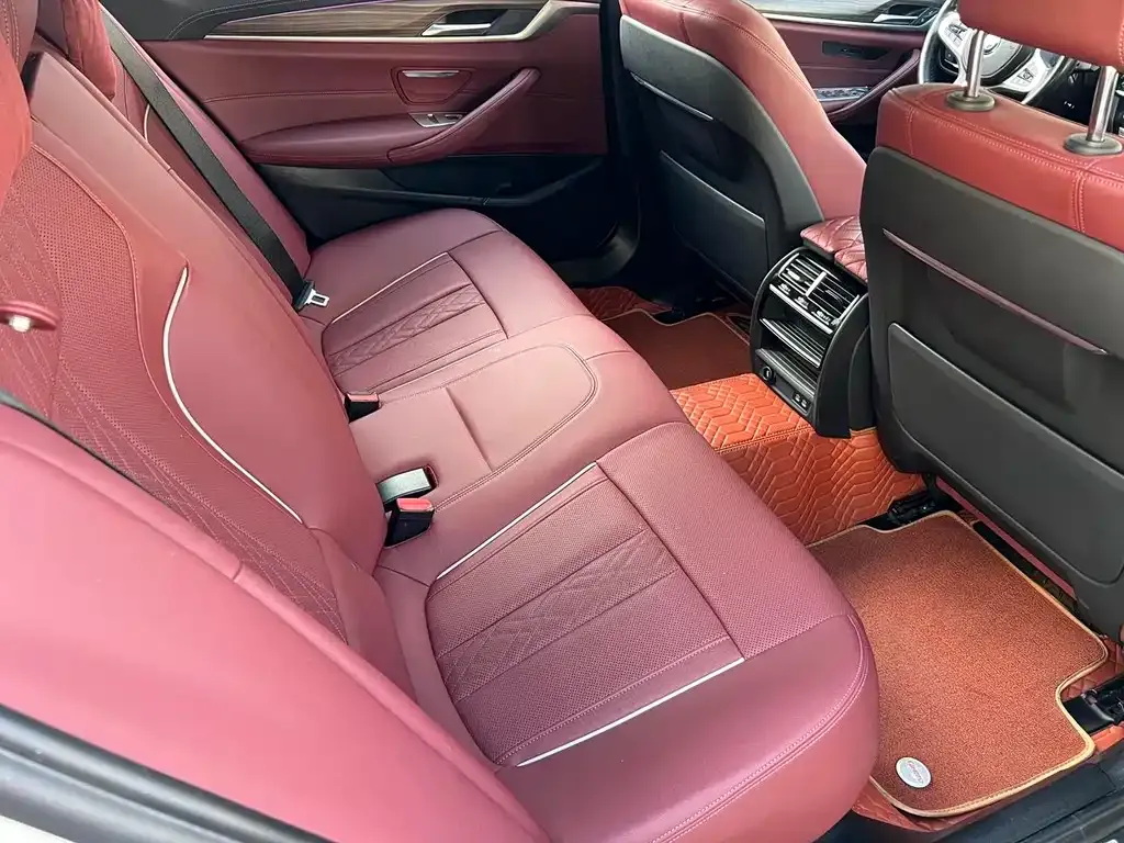 BMW 5 Series 2022 из CN, фото 9