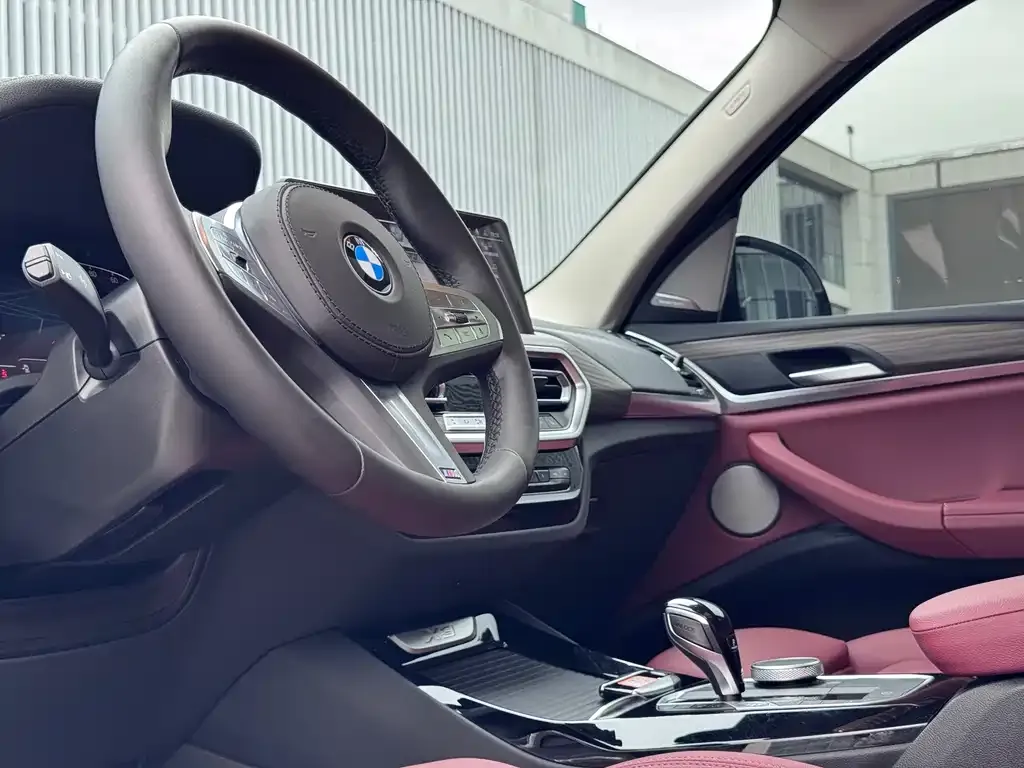 BMW X3 2024 из CN, фото 8