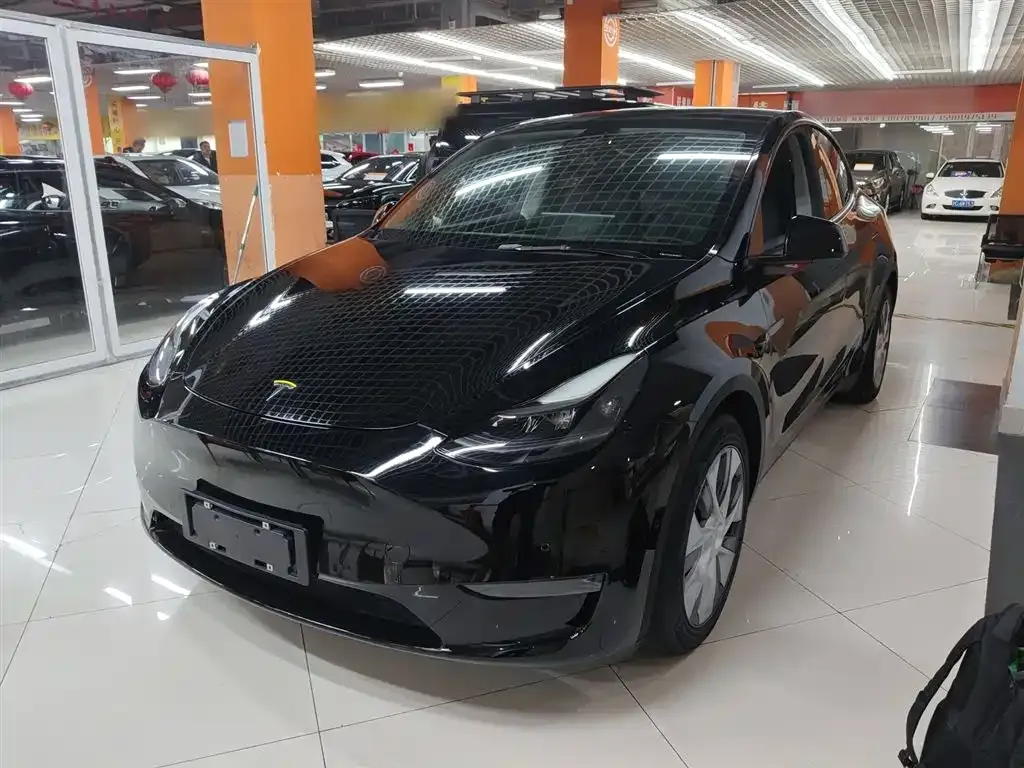 Tesla Model Y 2021 из CN, фото 2